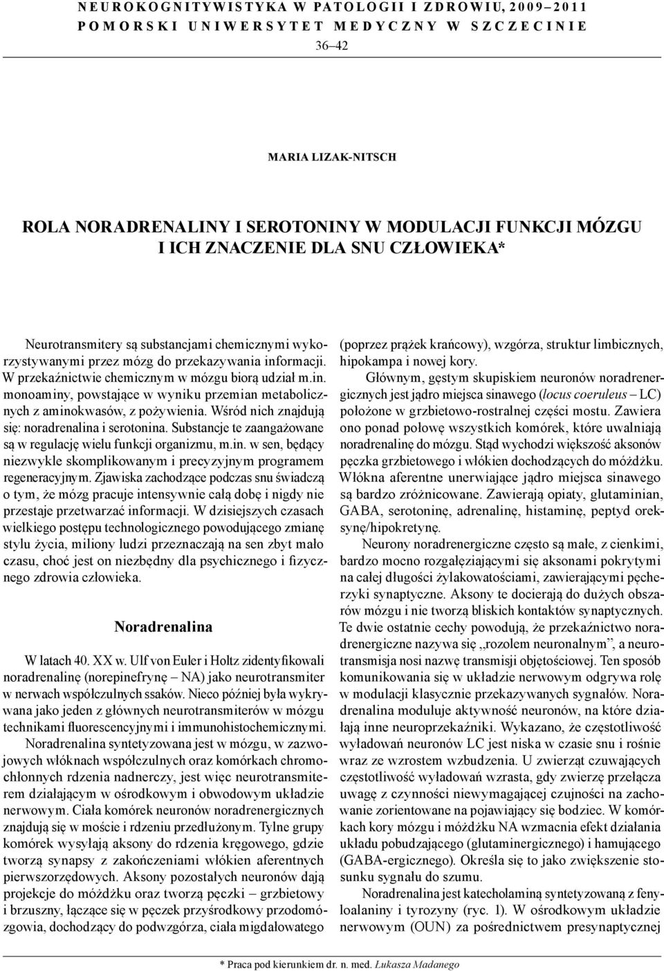 W przekaźnictwie chemicznym w mózgu biorą udział m.in. monoaminy, powstające w wyniku przemian metabolicznych z aminokwasów, z pożywienia. Wśród nich znajdują się: noradrenalina i serotonina.