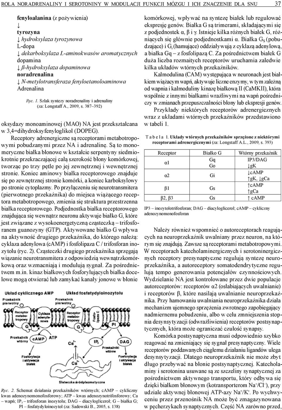 387 392) oksydazy monoaminowej (MAO) NA jest przekształcana w 3,4=dihydroksyfenyloglikol (DOPEG). Receptory adrenergiczne są receptorami metabotropowymi pobudzanymi przez NA i adrenalinę.