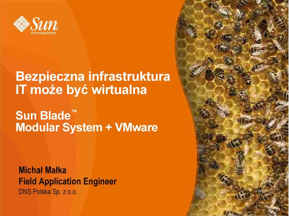 System + VMware Michał Małka Field