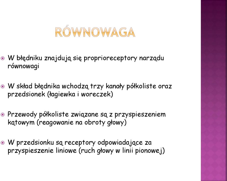 półkoliste związane są z przyspieszeniem kątowym (reagowanie na obroty głowy) W