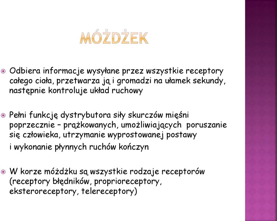 umożliwiających poruszanie się człowieka, utrzymanie wyprostowanej postawy i wykonanie płynnych ruchów kończyn W