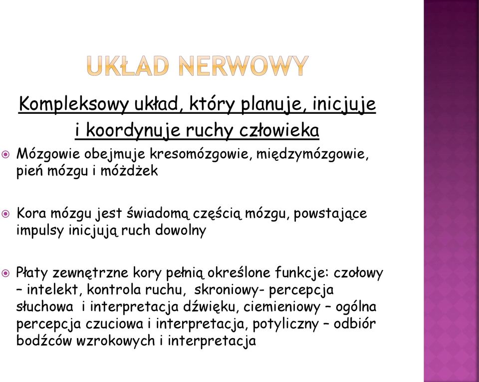 dowolny Płaty zewnętrzne kory pełnią określone funkcje: czołowy intelekt, kontrola ruchu, skroniowy- percepcja
