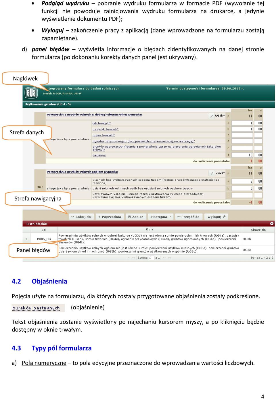 d) panel błędów wyświetla informacje o błędach zidentyfikowanych na danej stronie formularza (po dokonaniu korekty danych panel jest ukrywany).