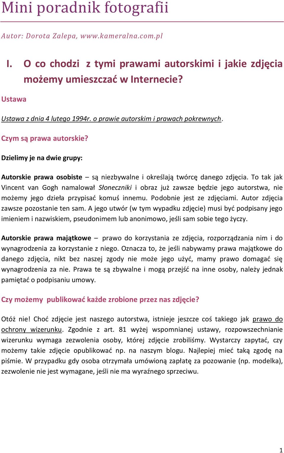 To tak jak Vincent van Gogh namalował Słoneczniki i obraz już zawsze będzie jego autorstwa, nie możemy jego dzieła przypisać komuś innemu. Podobnie jest ze zdjęciami.