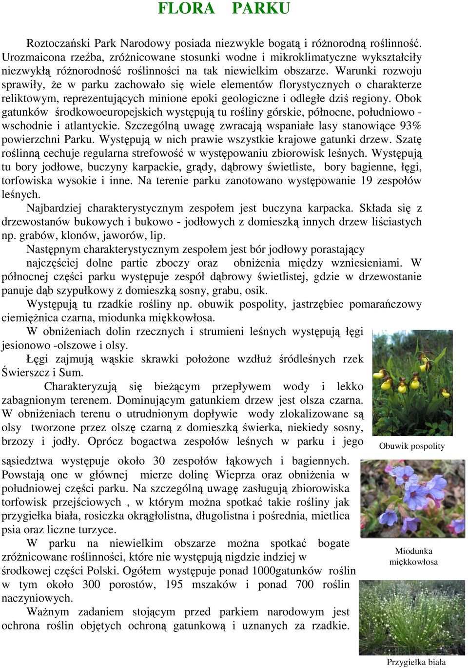 Warunki rozwoju sprawiły, Ŝe w parku zachowało się wiele elementów florystycznych o charakterze reliktowym, reprezentujących minione epoki geologiczne i odległe dziś regiony.