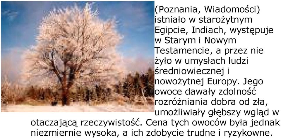 Jego owoce dawały zdolność rozróżniania dobra od zła, umożliwiały głębszy wgląd w