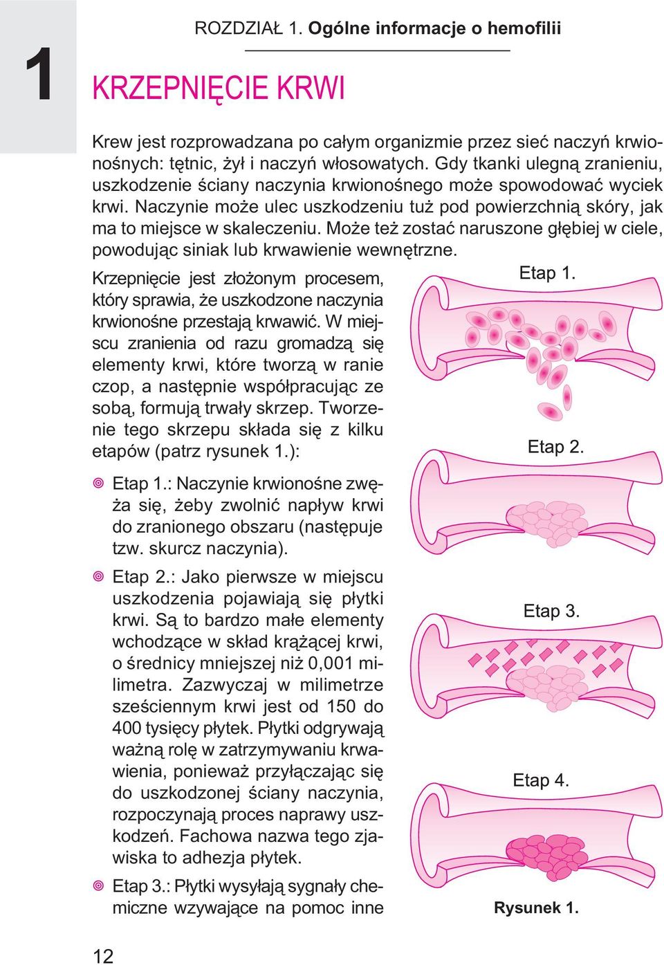 Mo e te zostaæ naruszone g³êbiej w ciele, powoduj¹c siniak lub krwawienie wewnêtrzne. Krzepniêcie jest z³o onym procesem, który sprawia, e uszkodzone naczynia krwionoœne przestaj¹ krwawiæ.