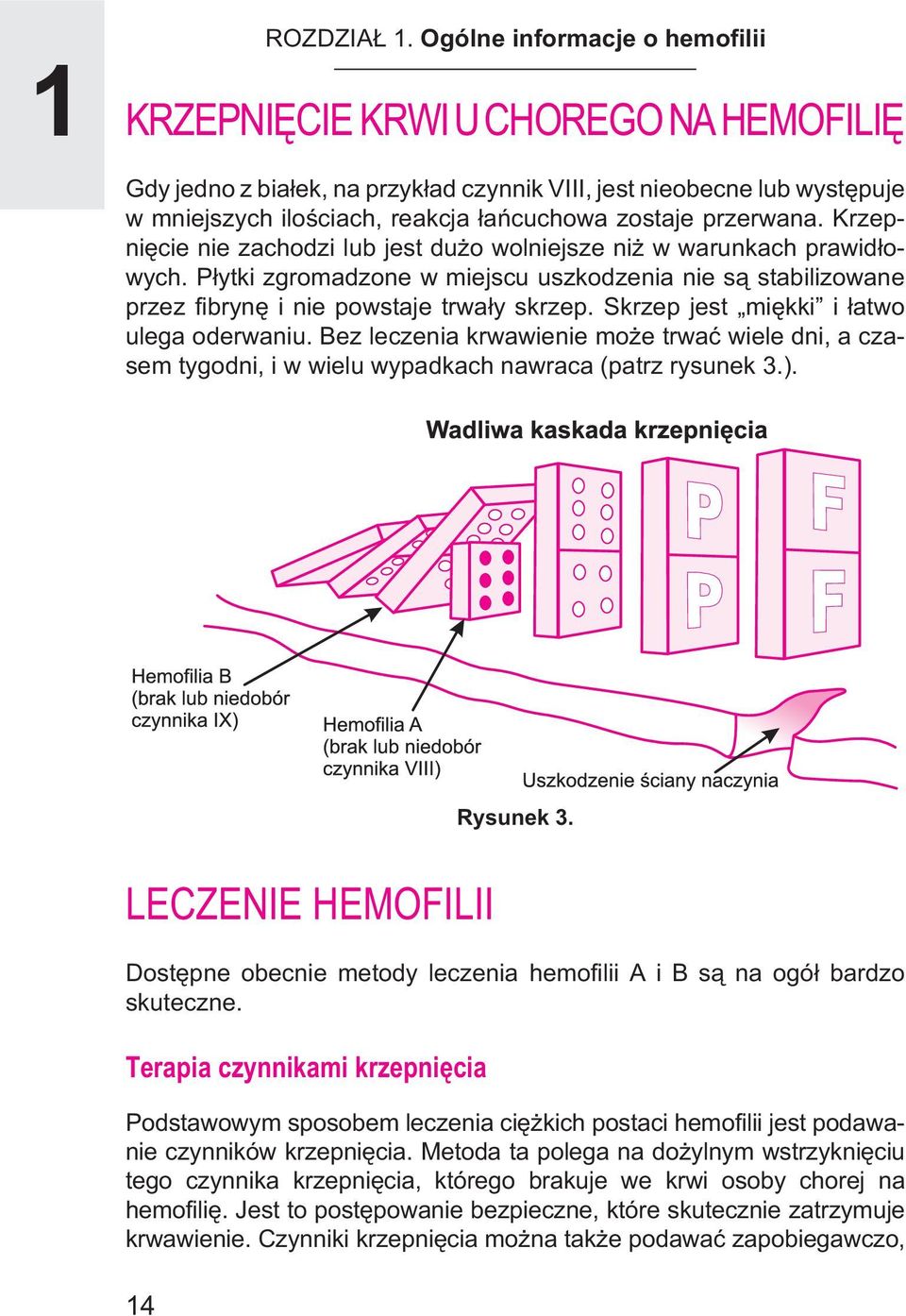 przerwana. Krzepniêcie nie zachodzi lub jest du o wolniejsze ni w warunkach prawid³owych. P³ytki zgromadzone w miejscu uszkodzenia nie s¹ stabilizowane przez fibrynê i nie powstaje trwa³y skrzep.