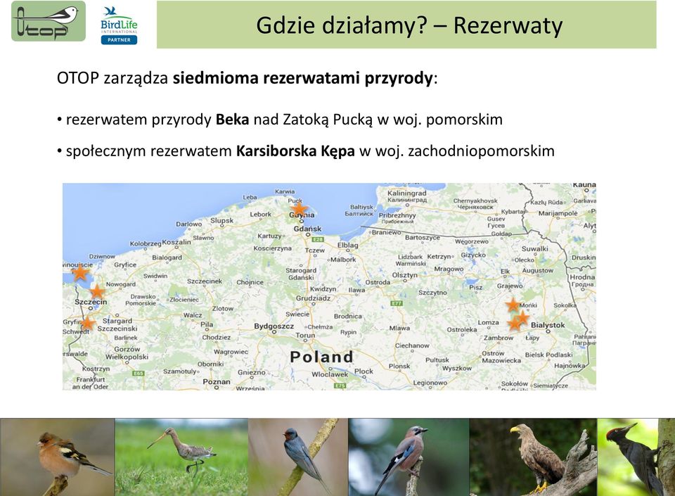 przyrody: rezerwatem przyrody Beka nad Zatoką