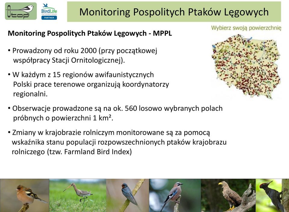 W każdym z 15 regionów awifaunistycznych Polski prace terenowe organizują koordynatorzy regionalni.