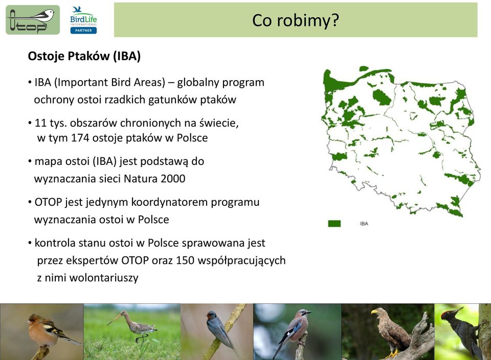 tys. obszarów chronionych na świecie, w tym 174 ostoje ptaków w Polsce mapa ostoi (IBA) jest podstawą do