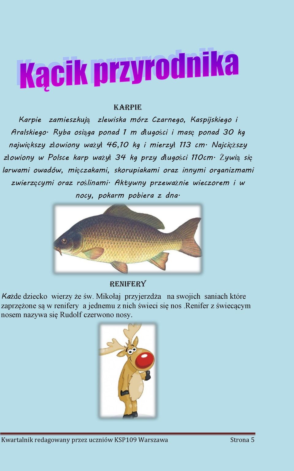 Najcięższy złowiony w Polsce karp ważył 34 kg przy długości 110cm.