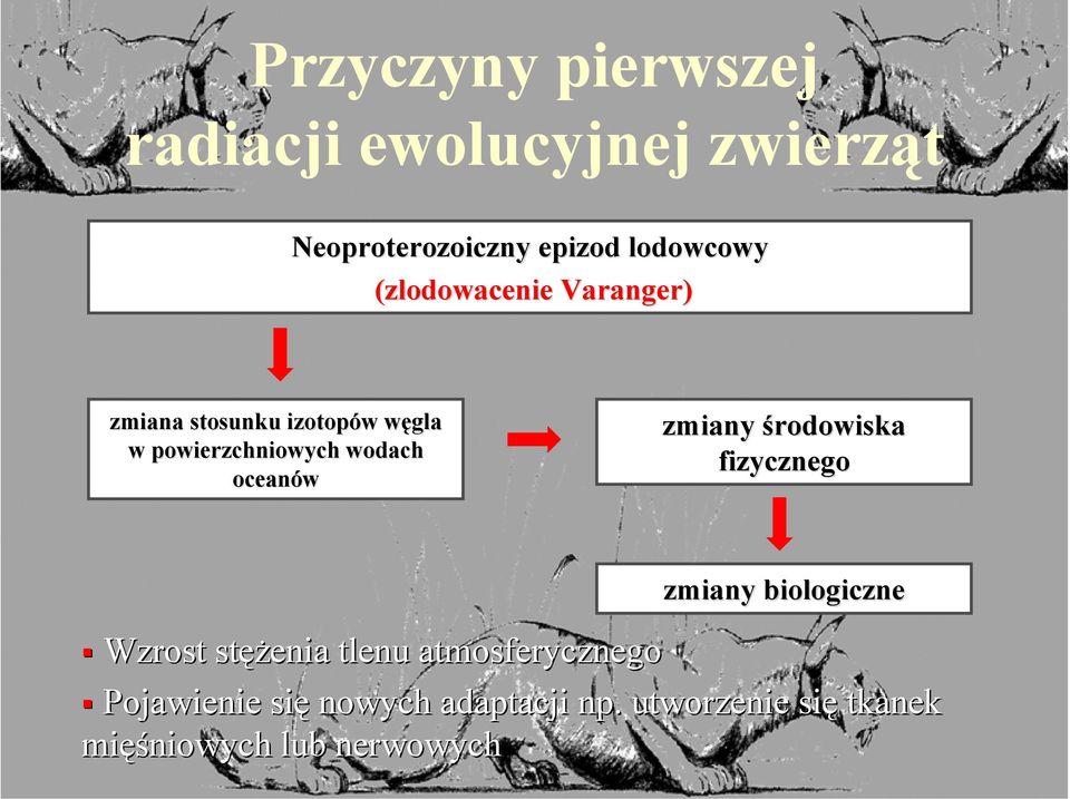 oceanów zmiany środowiska fizycznego zmiany biologiczne Wzrost stęż ężenia tlenu