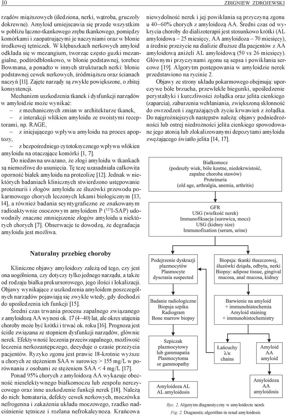 W kłębuszkach nerkowych amyloid odkłada się w mezangium, tworząc często guzki mezangialne, podśródbłonkowo, w błonie podstawnej, torebce Bowmana, a ponadto w innych strukturach nerki: błonie