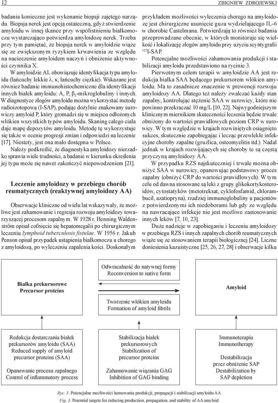 Trzeba przy tym pamiętać, że biopsja nerek w amyloidzie wiąże się ze zwiększonym ryzykiem krwawienia ze względu na nacieczenie amyloidem naczyń i obniżenie aktywności czynnika X.