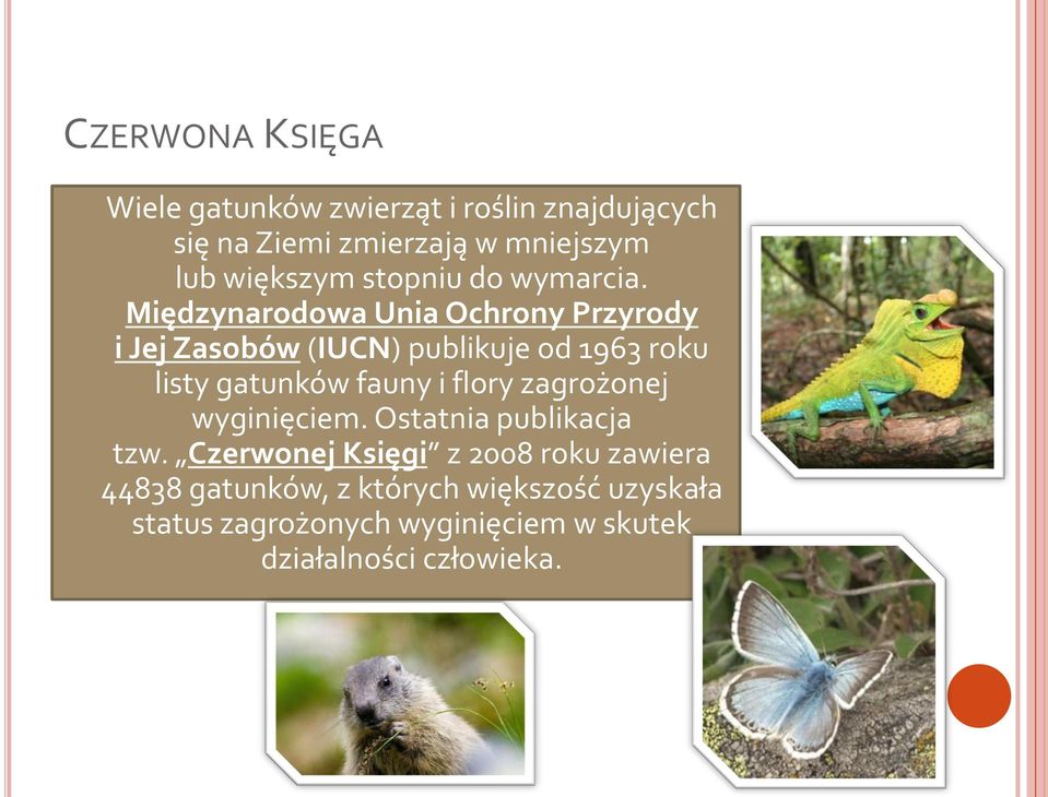 Międzynarodowa Unia Ochrony Przyrody i Jej Zasobów (IUCN) publikuje od 1963 roku listy gatunków fauny i