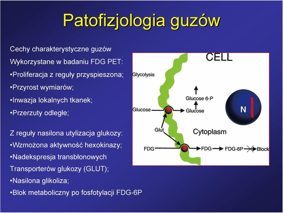 odległe; Z reguły nasilona utylizacja glukozy: Wzmożona aktywność hexokinazy; Nadekspresja