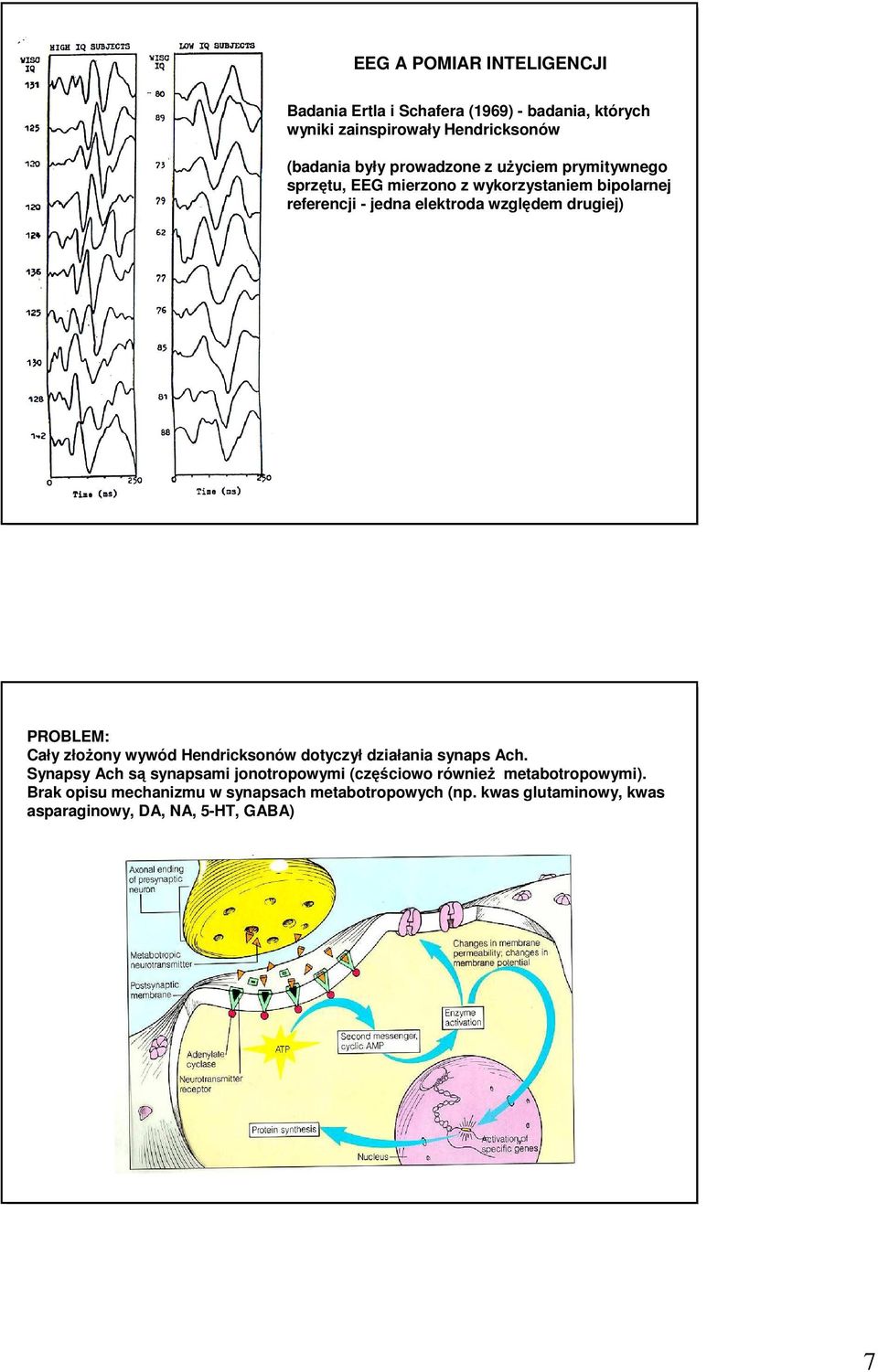 drugiej) PROBLEM: Cały złoŝony wywód Hendricksonów dotyczył działania synaps Ach.