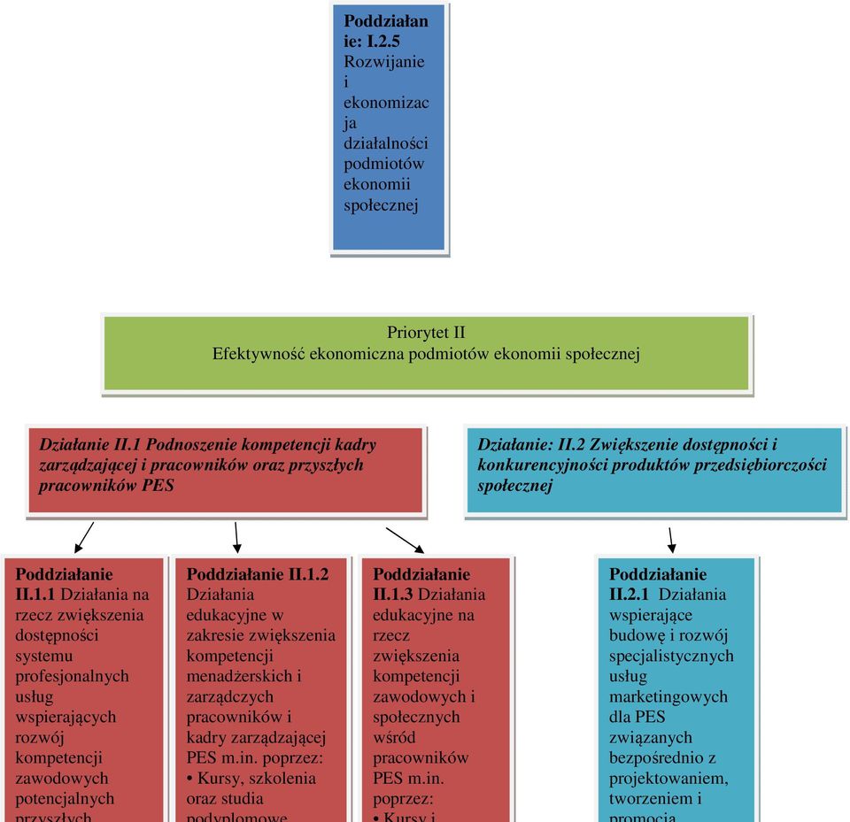 1.2 Działania edukacyjne w zakresie zwiększenia kompetencji menadżerskich i zarządczych pracowników i kadry zarządzającej PES m.in. poprzez: Kursy, szkolenia oraz studia II.1.3 Działania edukacyjne na rzecz zwiększenia kompetencji zawodowych i społecznych wśród pracowników PES m.