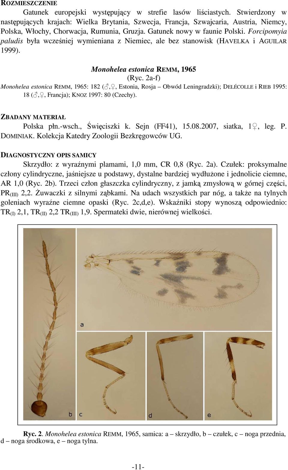 Forcipomyia paludis była wcześniej wymieniana z Niemiec, ale bez stanowisk (HAVELKA i AGUILAR 1999). Monohelea estonica REMM, 1965 (Ryc.