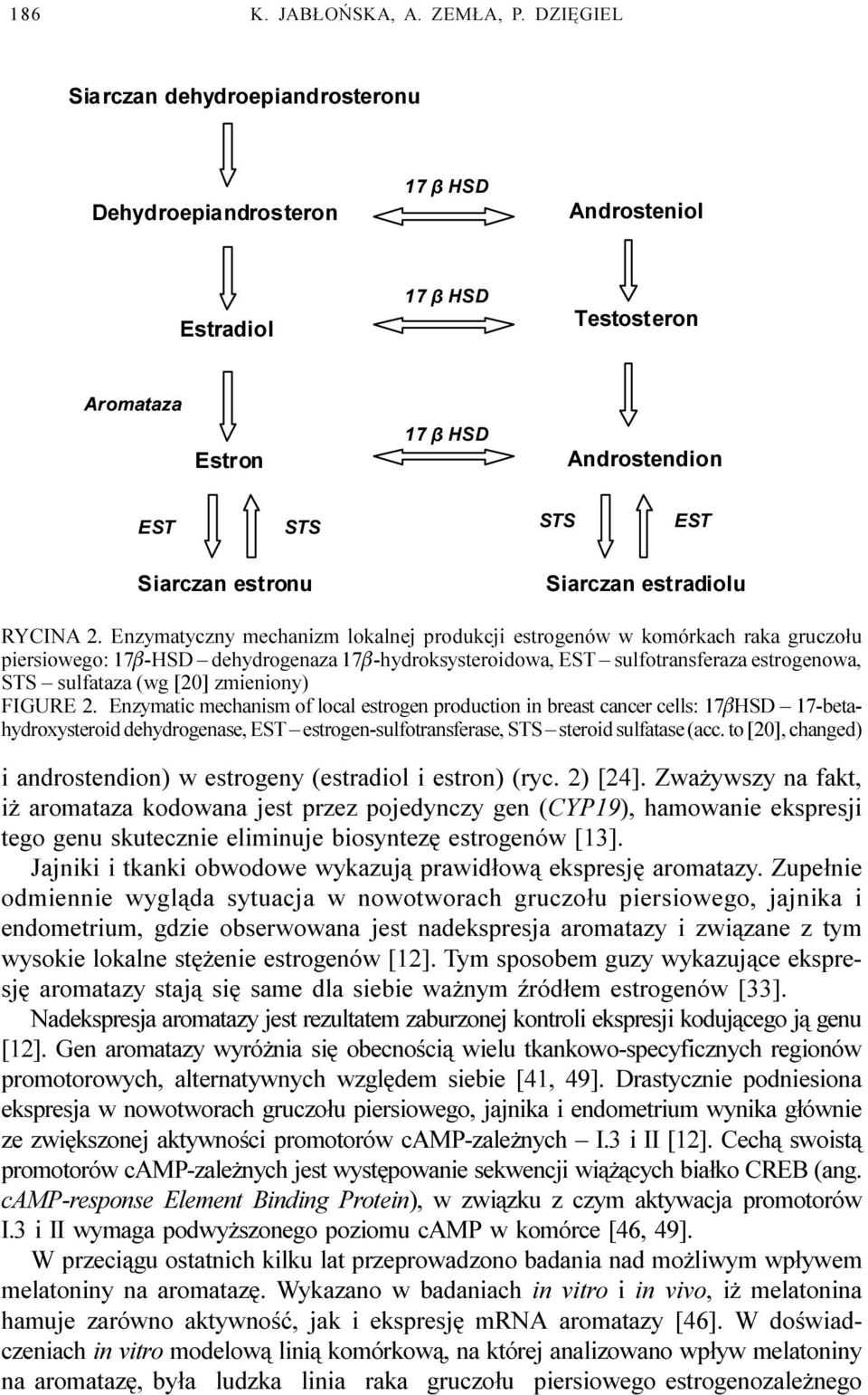 Enzymatyczny mechanizm lokalnej produkcji estrogenów w komórkach raka gruczo³u piersiowego: 17b-HSD dehydrogenaza 17b-hydroksysteroidowa, EST sulfotransferaza estrogenowa, STS sulfataza (wg [20]
