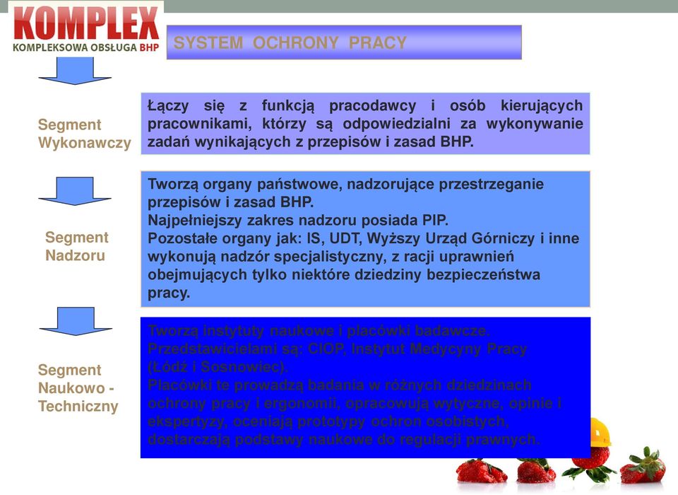 Pozostałe organy jak: IS, UDT, Wyższy Urząd Górniczy i inne wykonują nadzór specjalistyczny, z racji uprawnień obejmujących tylko niektóre dziedziny bezpieczeństwa pracy.