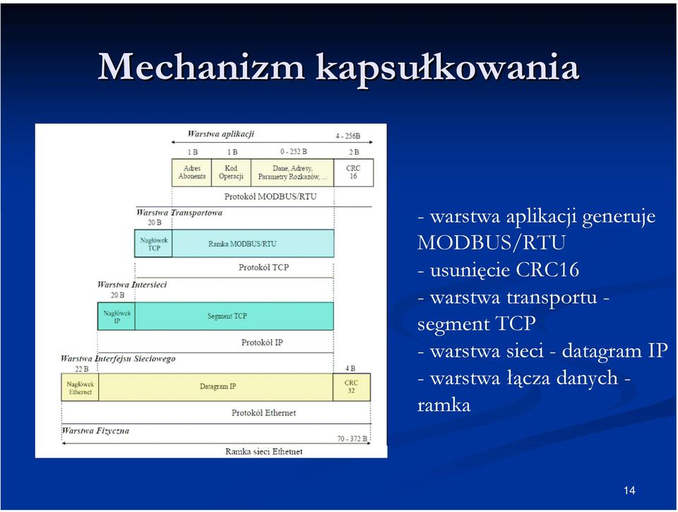 warstwa transportu - segment TCP - warstwa