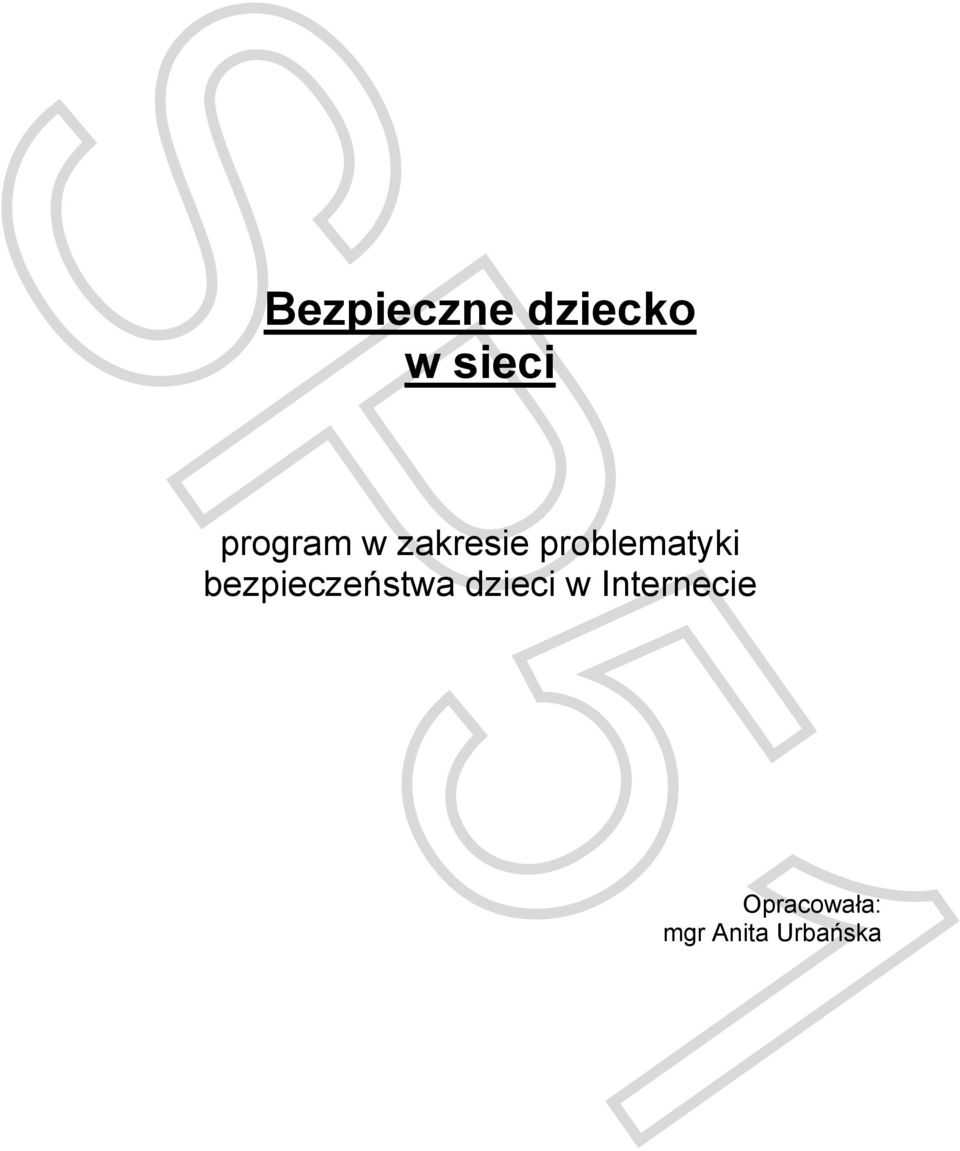 problematyki bezpieczeństwa