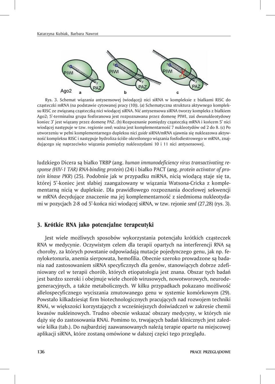 Niæ antysensowa sirna tworzy kompleks z bia³kiem Ago2; 5 -terminalna grupa fosforanowa jest rozpoznawana przez domenê PIWI, zaœ dwunukleotydowy koniec 3 jest wi¹zany przez domenê PAZ.