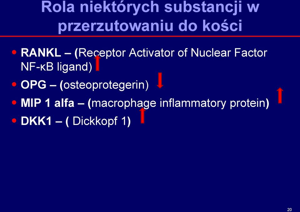 NF-κB ligand) OPG (osteoprotegerin) MIP 1 alfa