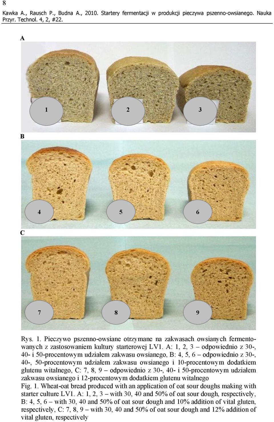 A: 1, 2, 3 odpowiednio z 30-, 40- i 50-procentowym udziałem zakwasu owsianego, B: 4, 5, 6 odpowiednio z 30-, 40-, 50-procentowym udziałem zakwasu owsianego i 10-procentowym dodatkiem glutenu