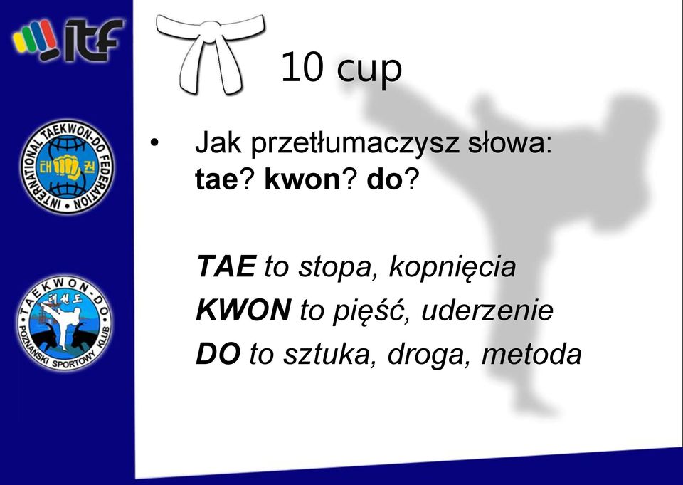 TAE to stopa, kopnięcia KWON