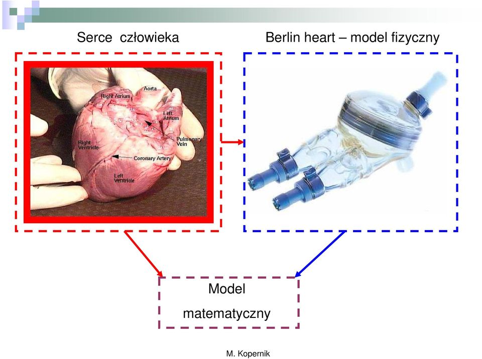 model fizyczny