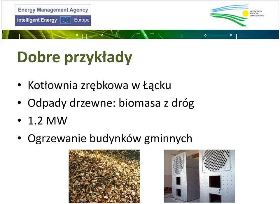 drzewne: biomasa z dróg 1.