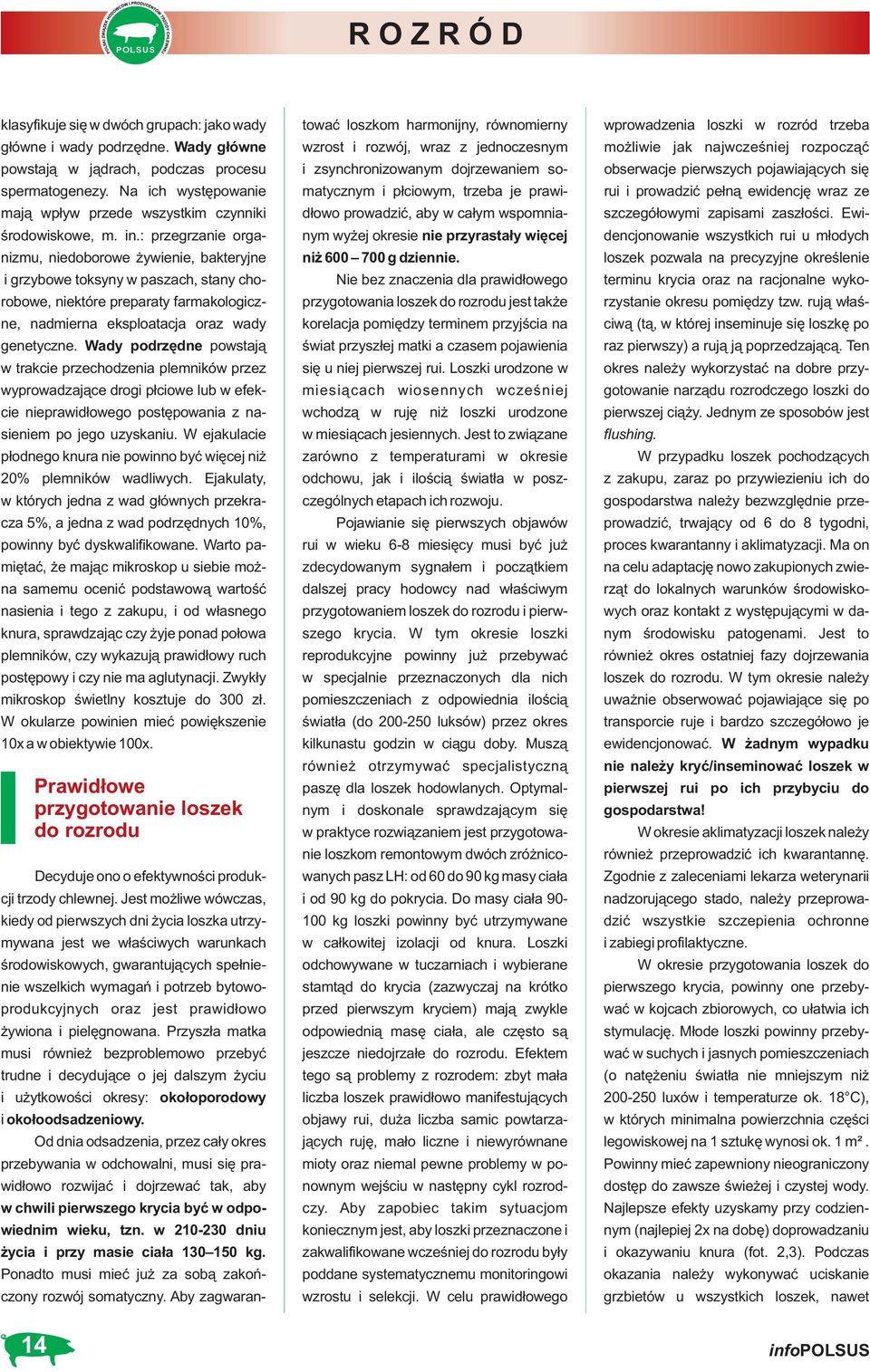 : przegrzanie organizmu, niedoborowe żywienie, bakteryjne i grzybowe toksyny w paszach, stany chorobowe, niektóre preparaty farmakologiczne, nadmierna eksploatacja oraz wady genetyczne.