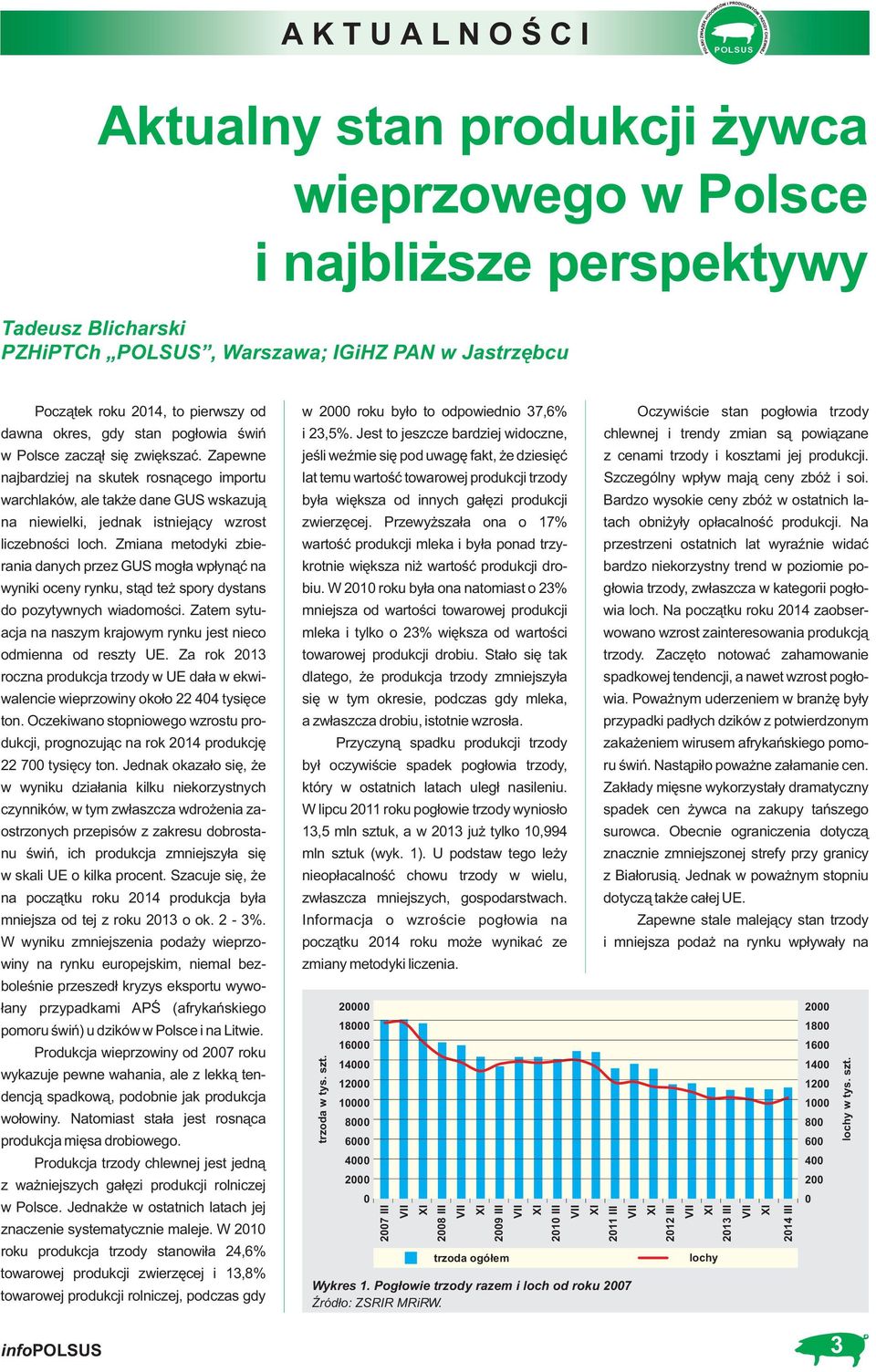 Zapewne najbardziej na skutek rosnącego importu warchlaków, ale także dane GUS wskazują na niewielki, jednak istniejący wzrost liczebności loch.