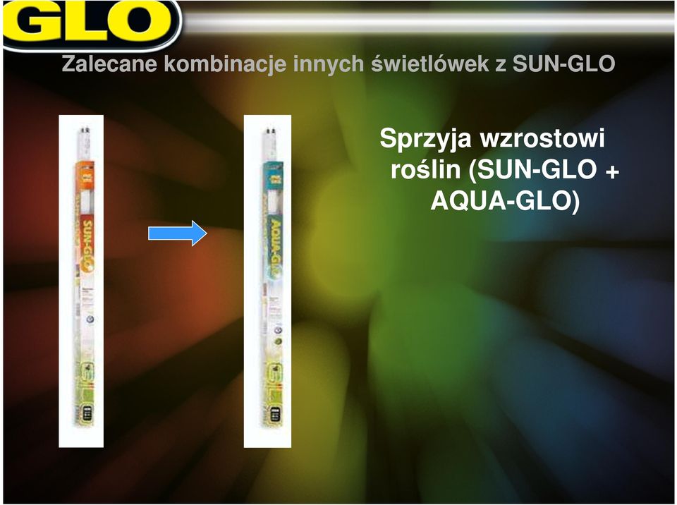 SUN-GLO Sprzyja