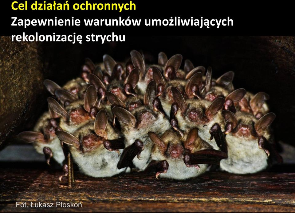 umożliwiających