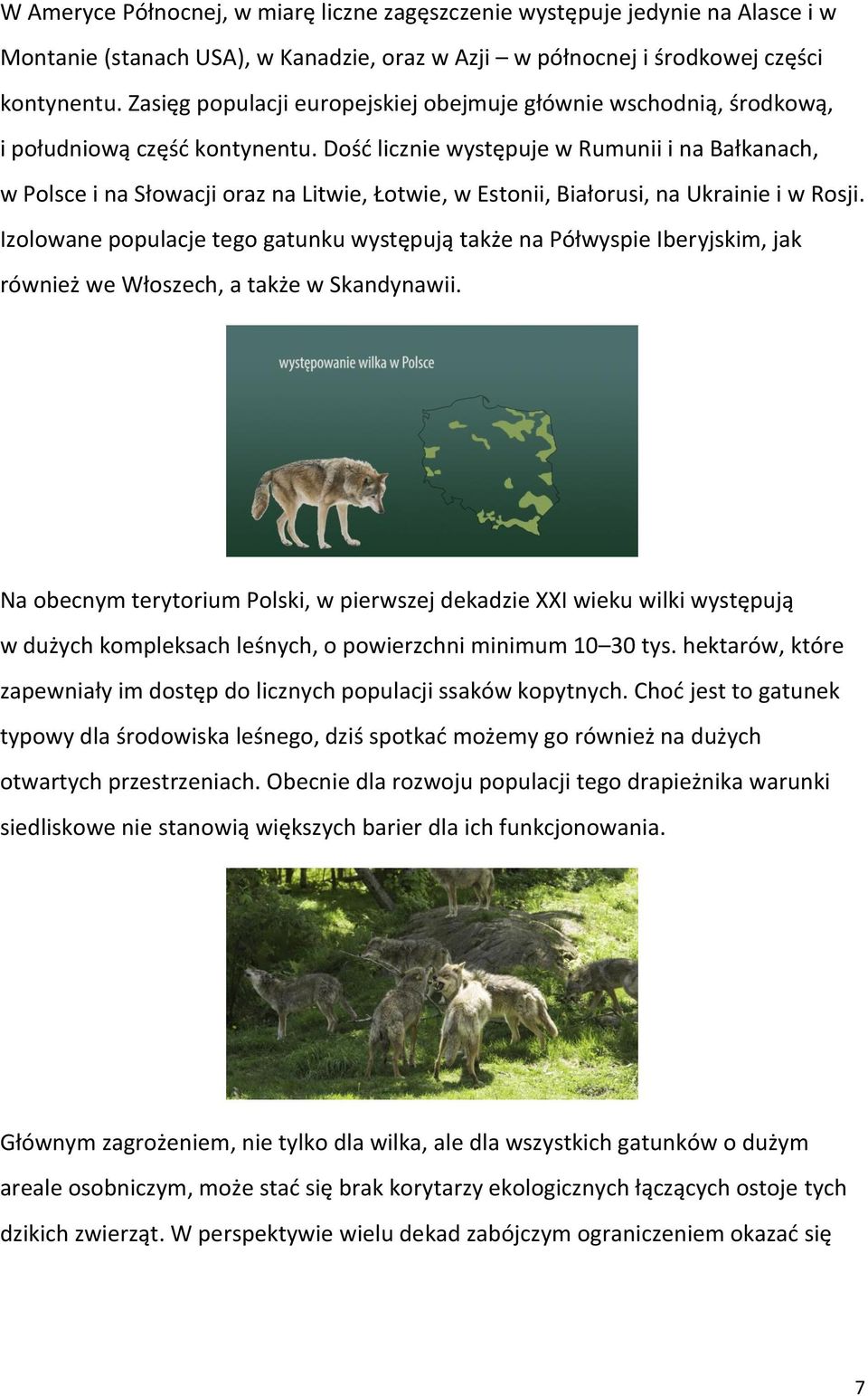 Dość licznie występuje w Rumunii i na Bałkanach, w Polsce i na Słowacji oraz na Litwie, Łotwie, w Estonii, Białorusi, na Ukrainie i w Rosji.