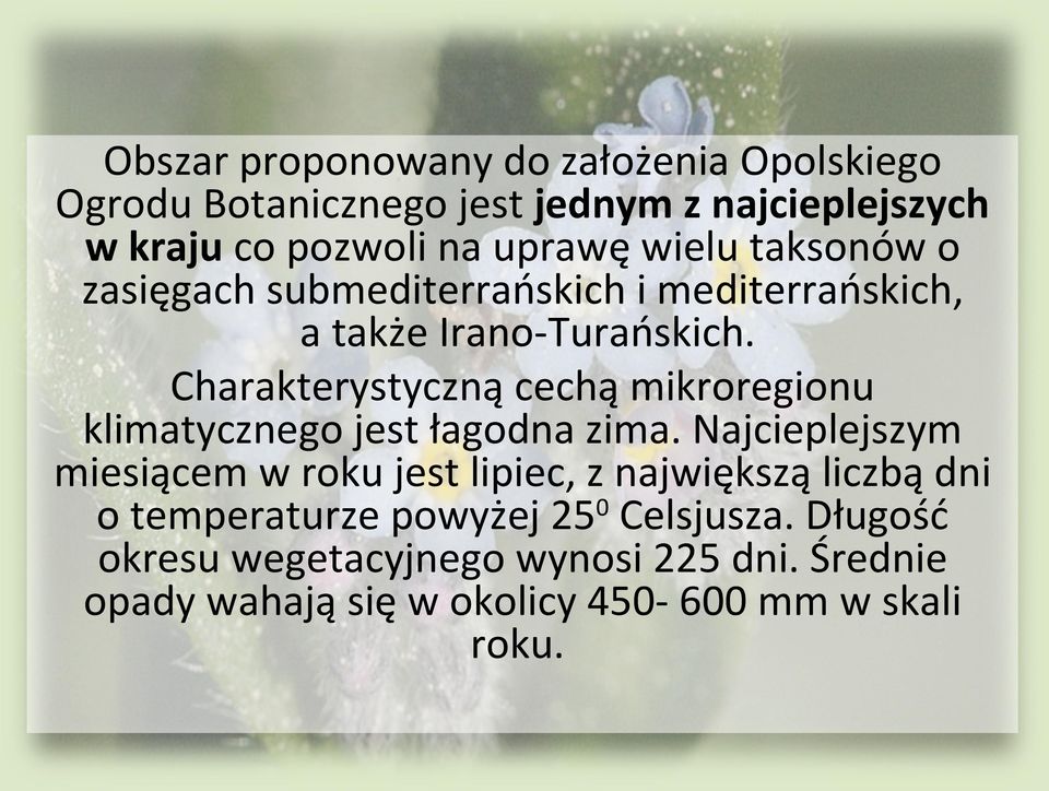 Charakterystyczną cechą mikroregionu klimatycznego jest łagodna zima.