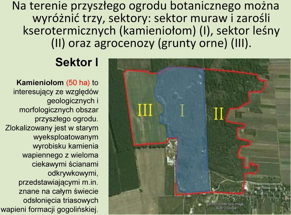 Sektor I Kamieniołom (50 ha) to interesujący ze względów geologicznych i morfologicznych obszar przyszłego ogrodu.