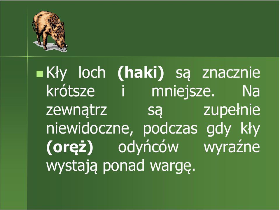 Na zewnątrz są zupełnie