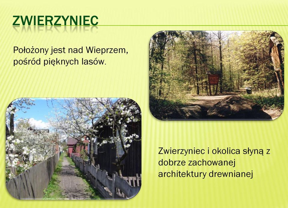 Zwierzyniec i okolica słyną z