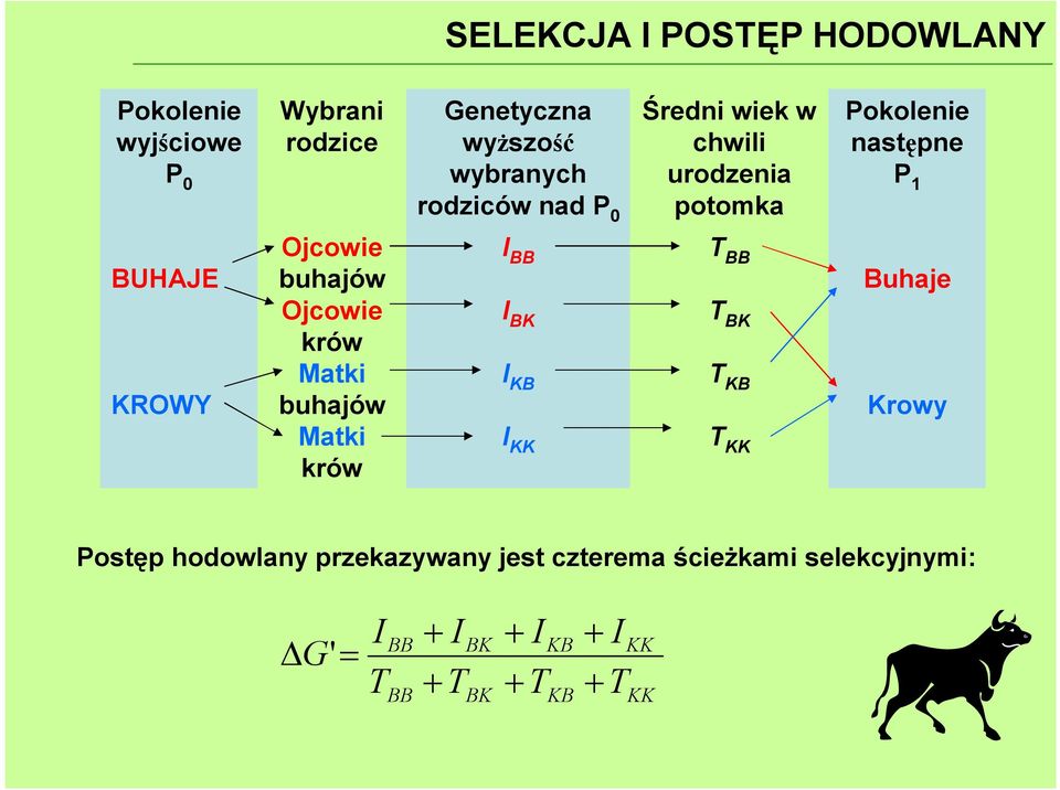 Matki buhajów Matki ków I BB I BK I KB I KK T BB T BK T KB T KK Buhaje Kwy Pstęp