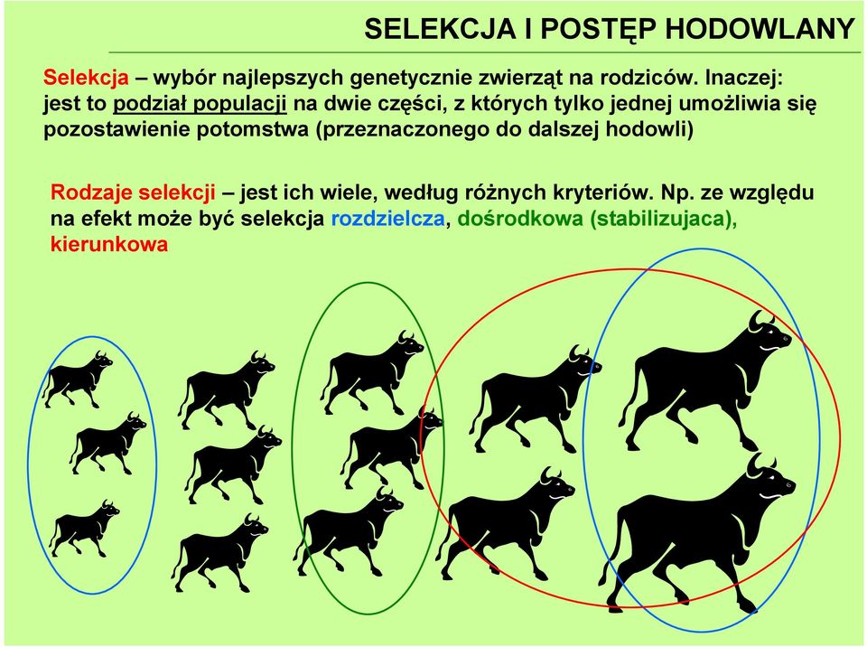 pzstawienie ptstwa (pzeznaczneg d dalszej hdwli) Rdzaje selekcji jest ich wiele,