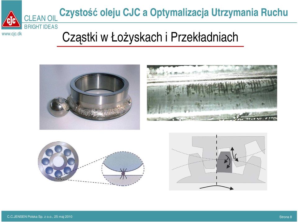 C.JENSEN Polska Sp.