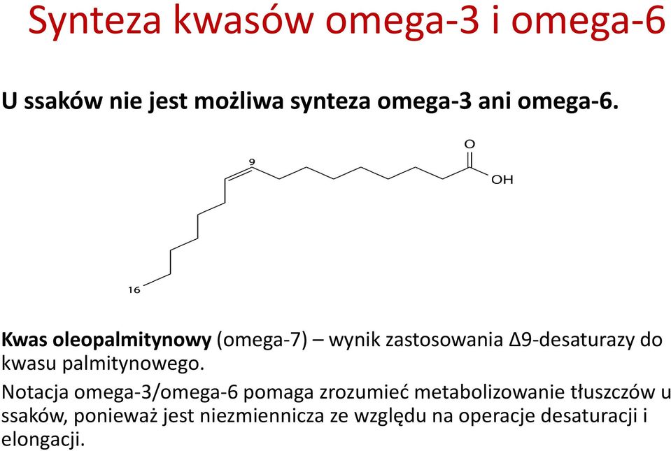 Kwas oleopalmitynowy (omega-7) wynik zastosowania Δ9-desaturazy do kwasu