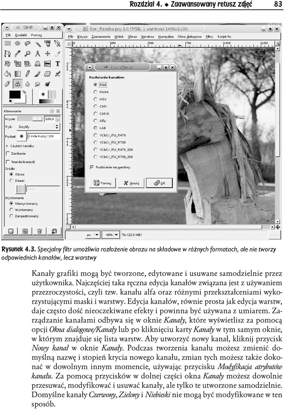Specjalny filtr umożliwia rozłożenie obrazu na składowe w różnych formatach, ale nie tworzy odpowiednich kanałów, lecz warstwy Kanały grafiki mogą być tworzone, edytowane i usuwane samodzielnie przez