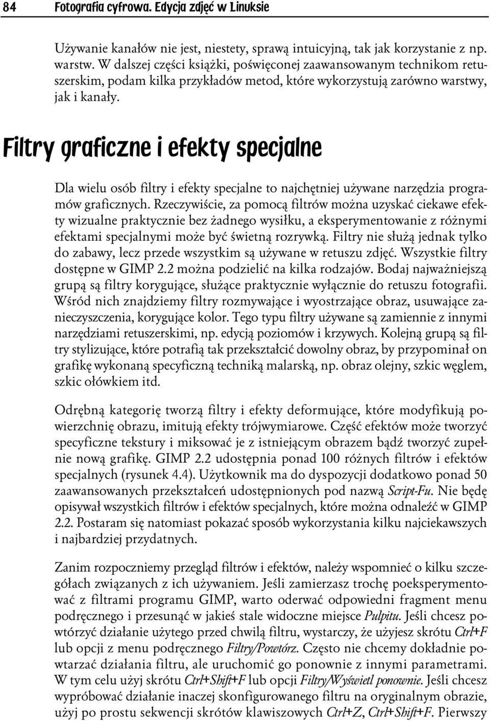 Filtry graficzne i efekty specjalne Dla wielu osób filtry i efekty specjalne to najchętniej używane narzędzia programów graficznych.