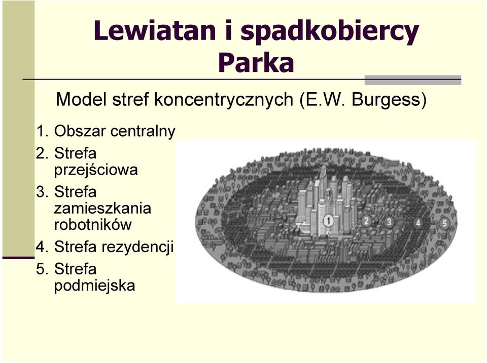 Obszar centralny 2. Strefa przejściowa 3.